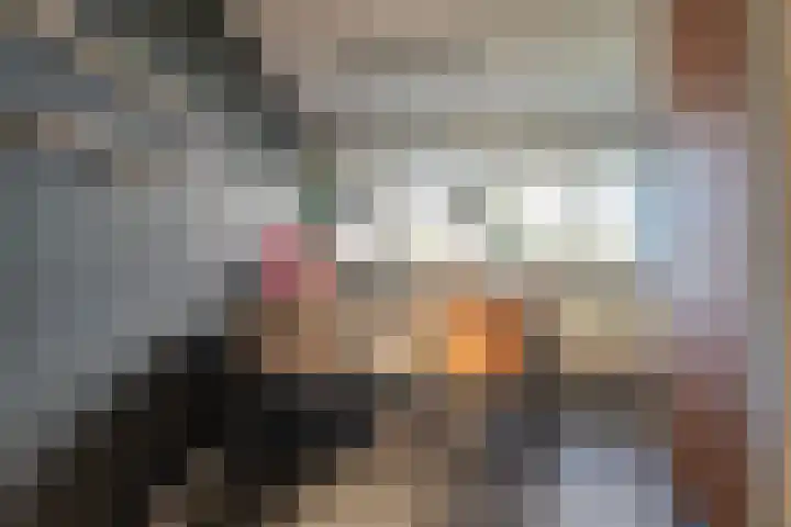 Merendonk 101 Leiden thumbnail 7