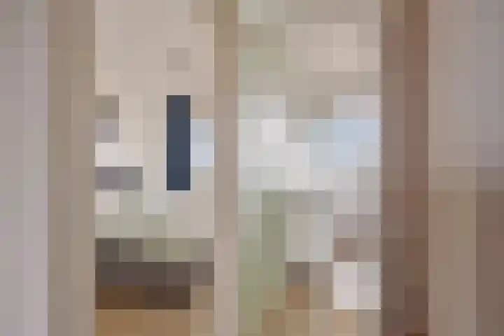 Merendonk 119 Leiden thumbnail 14