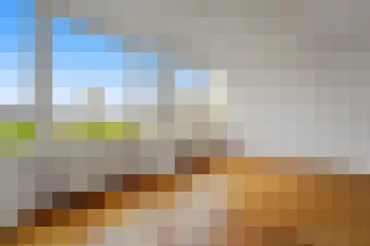 Merendonk 119 Leiden thumbnail 15