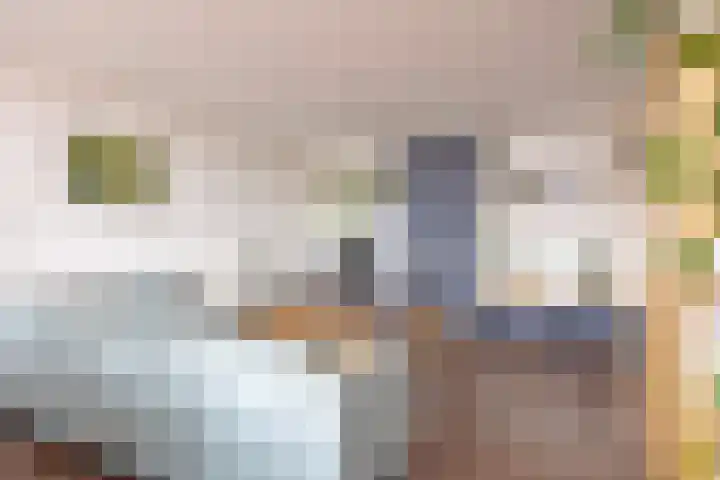 Merendonk 119 Leiden thumbnail 17