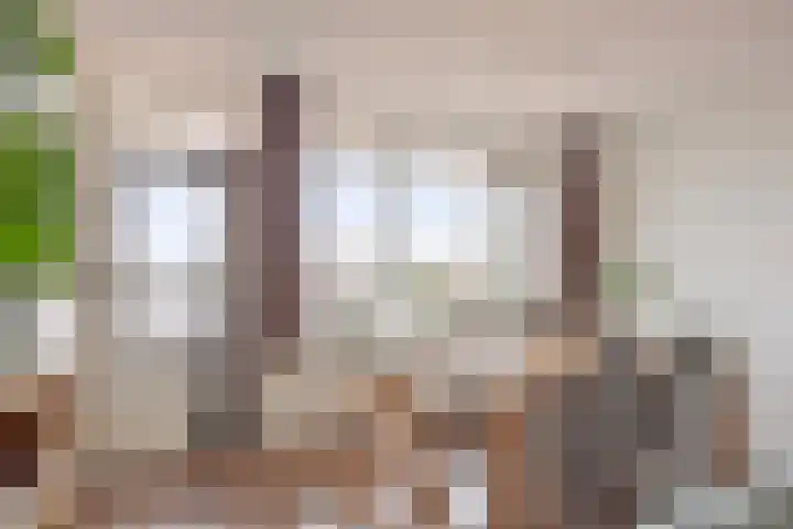 Merendonk 119 Leiden thumbnail 18