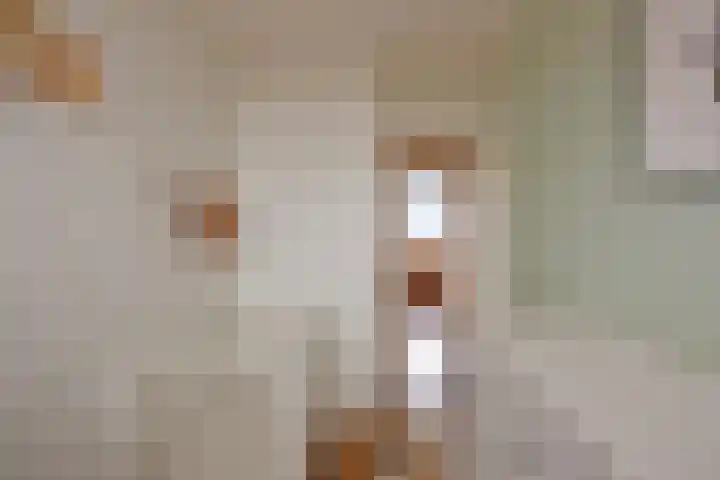 Merendonk 119 Leiden thumbnail 31