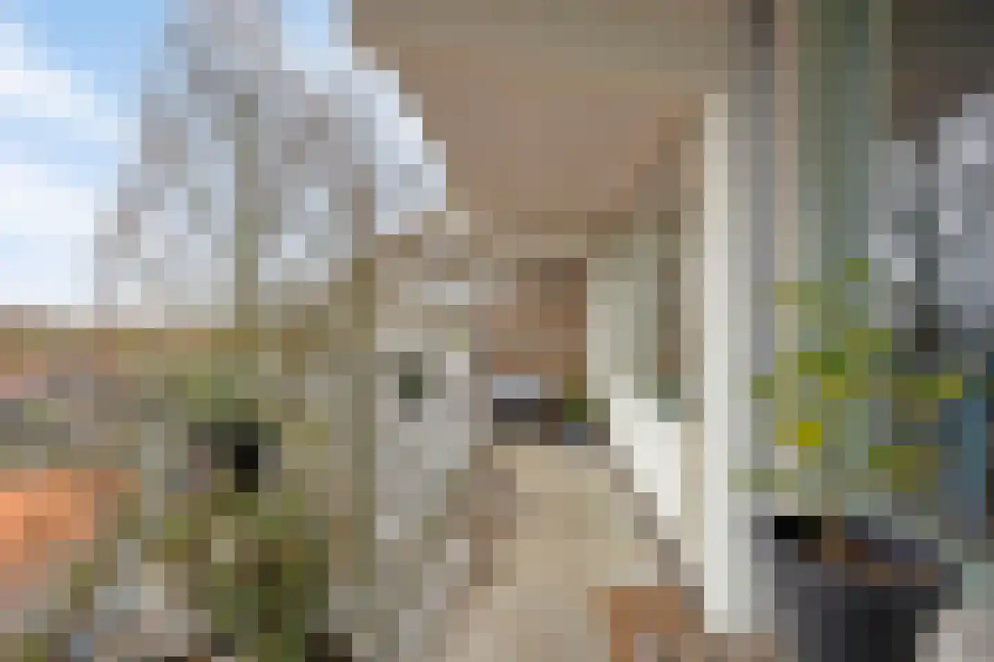 Merendonk 119 Leiden thumbnail 37