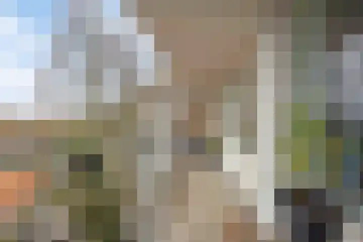 Merendonk 119 Leiden thumbnail 37