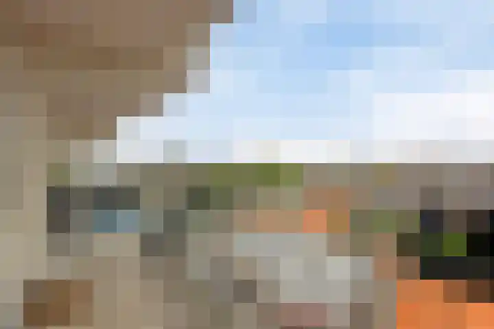 Merendonk 119 Leiden thumbnail 38