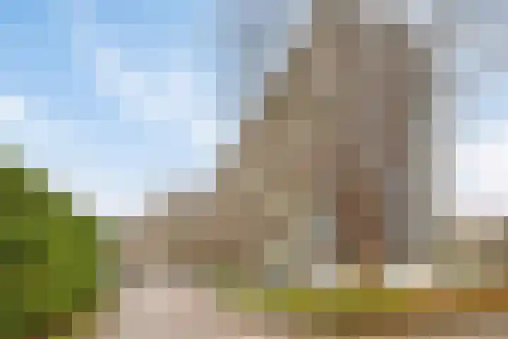 Merendonk 119 Leiden thumbnail 4