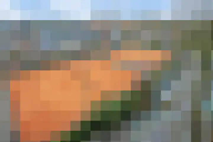 Merendonk 119 Leiden thumbnail 40