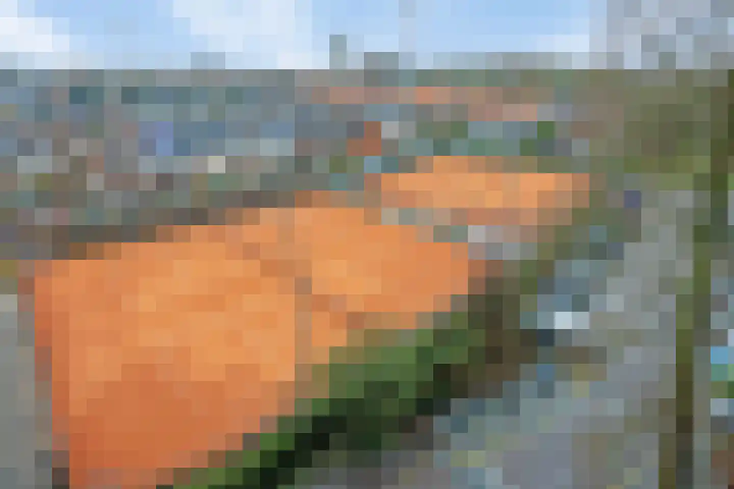 Merendonk 119 Leiden thumbnail 40