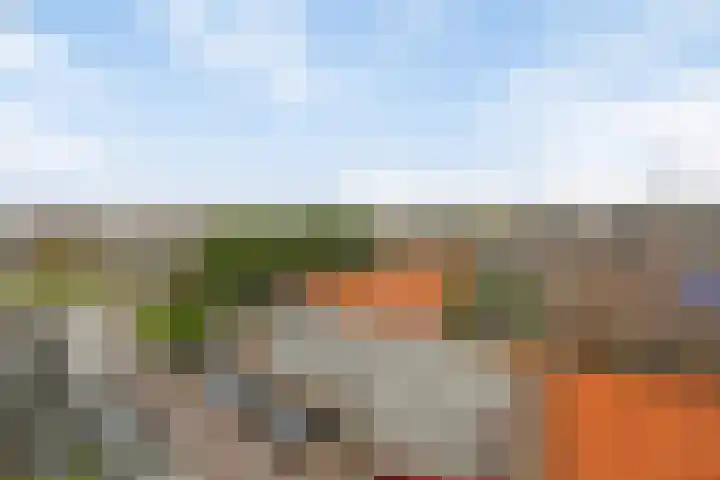 Merendonk 119 Leiden thumbnail 41