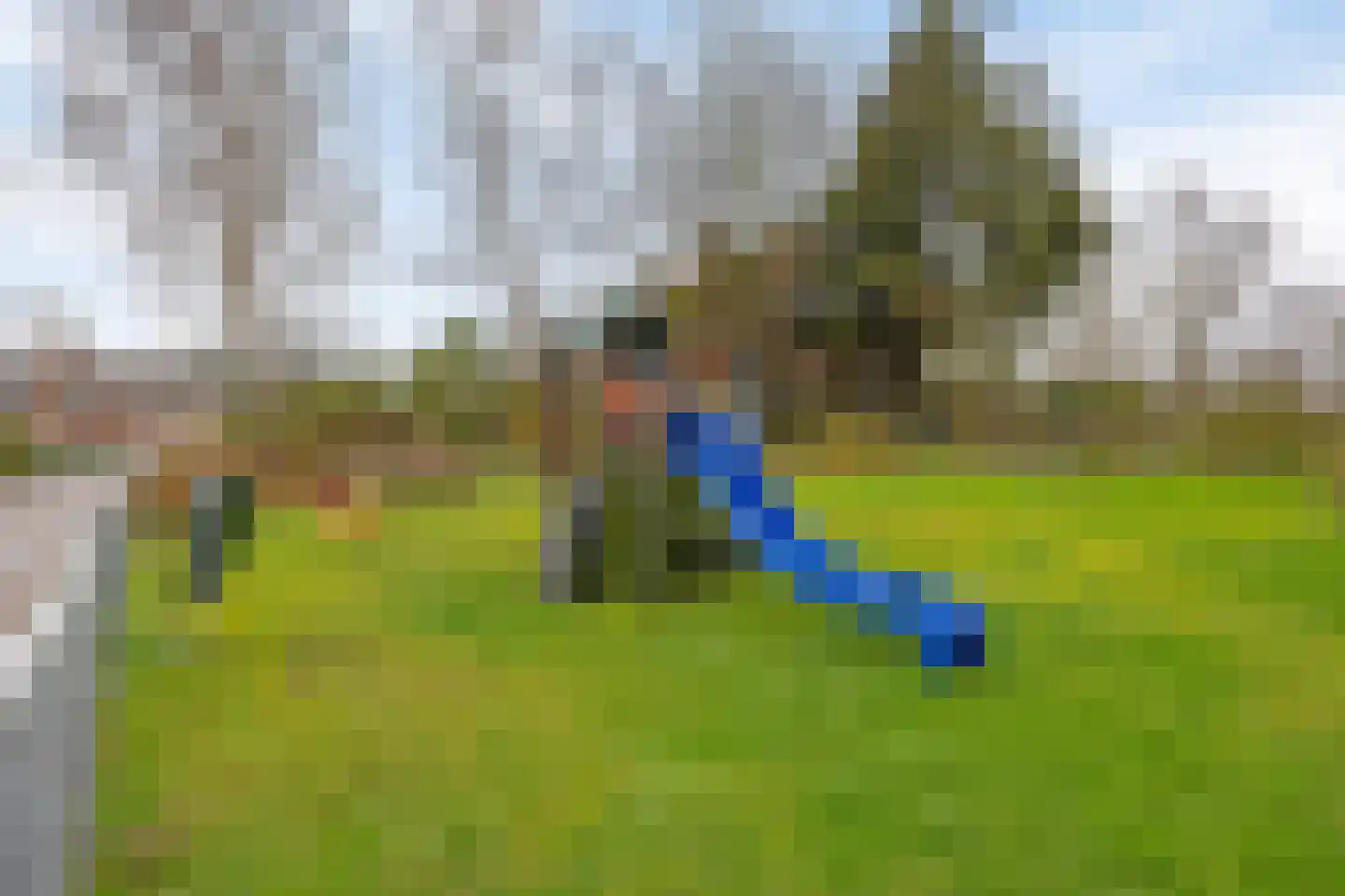 Merendonk 119 Leiden thumbnail 42