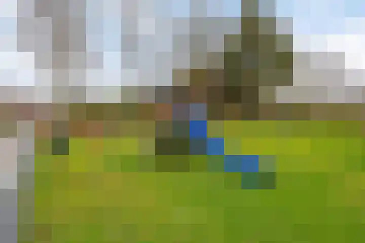 Merendonk 119 Leiden thumbnail 42
