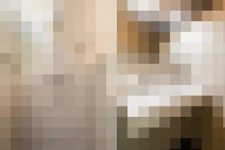 Merendonk 119 Leiden thumbnail 45