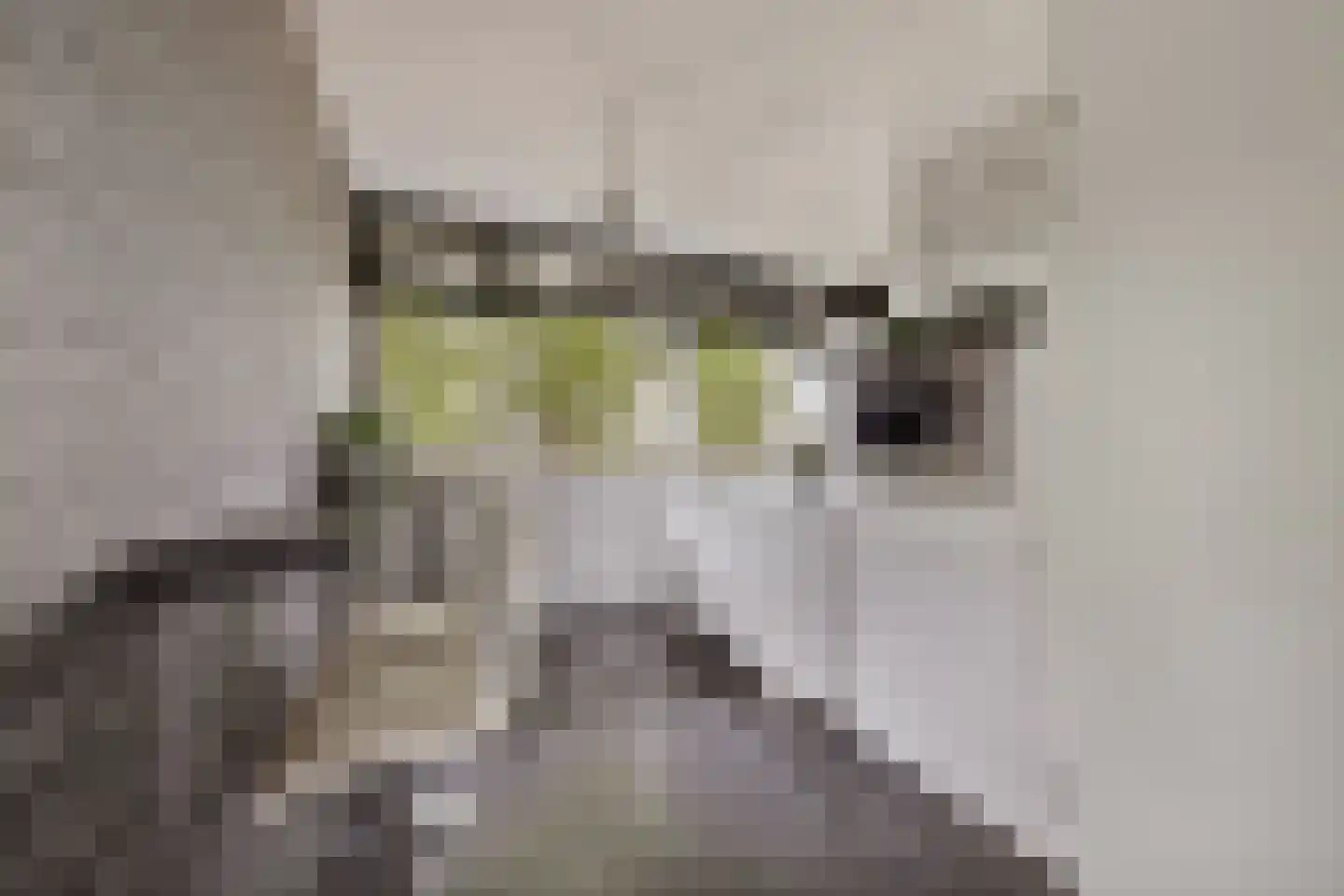 Merendonk 137 Leiden thumbnail 13