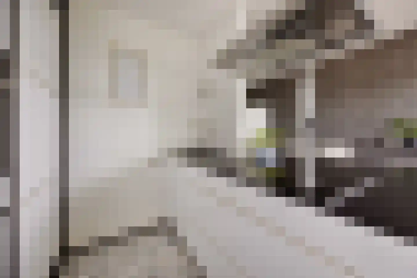 Merendonk 137 Leiden thumbnail 14