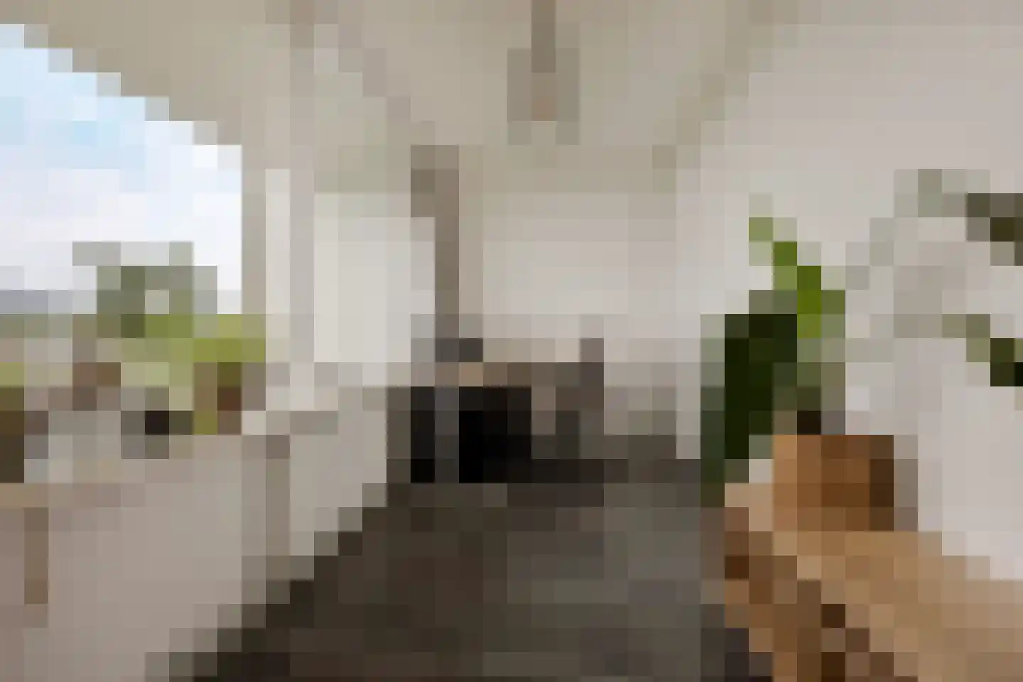 Merendonk 137 Leiden thumbnail 19