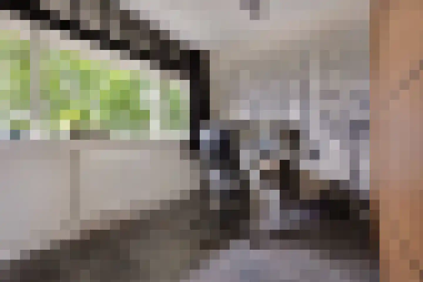 Merendonk 137 Leiden thumbnail 23