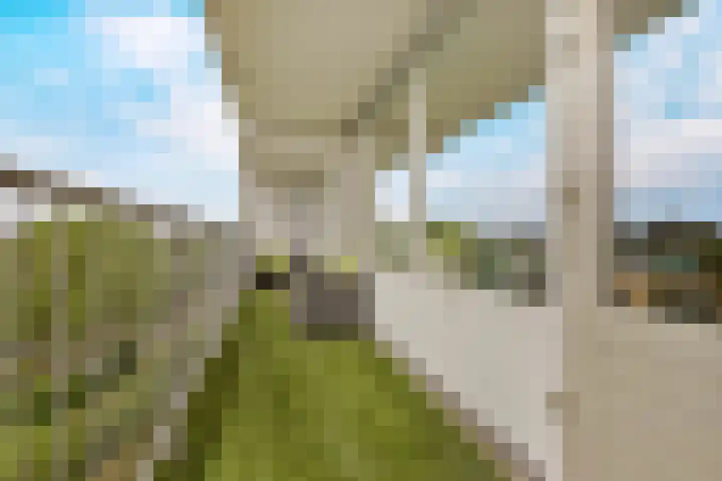 Merendonk 137 Leiden thumbnail 26
