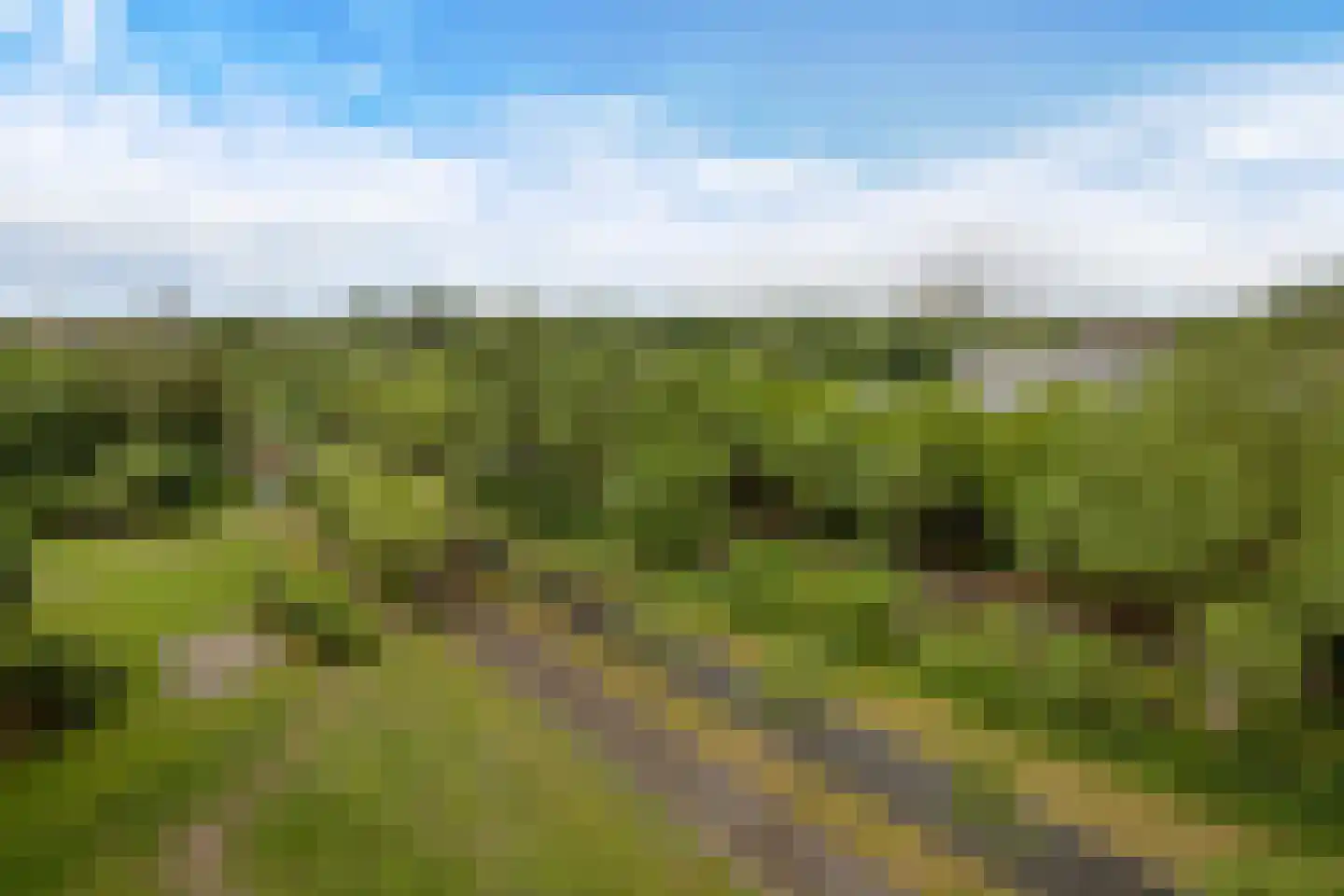 Merendonk 137 Leiden thumbnail 27