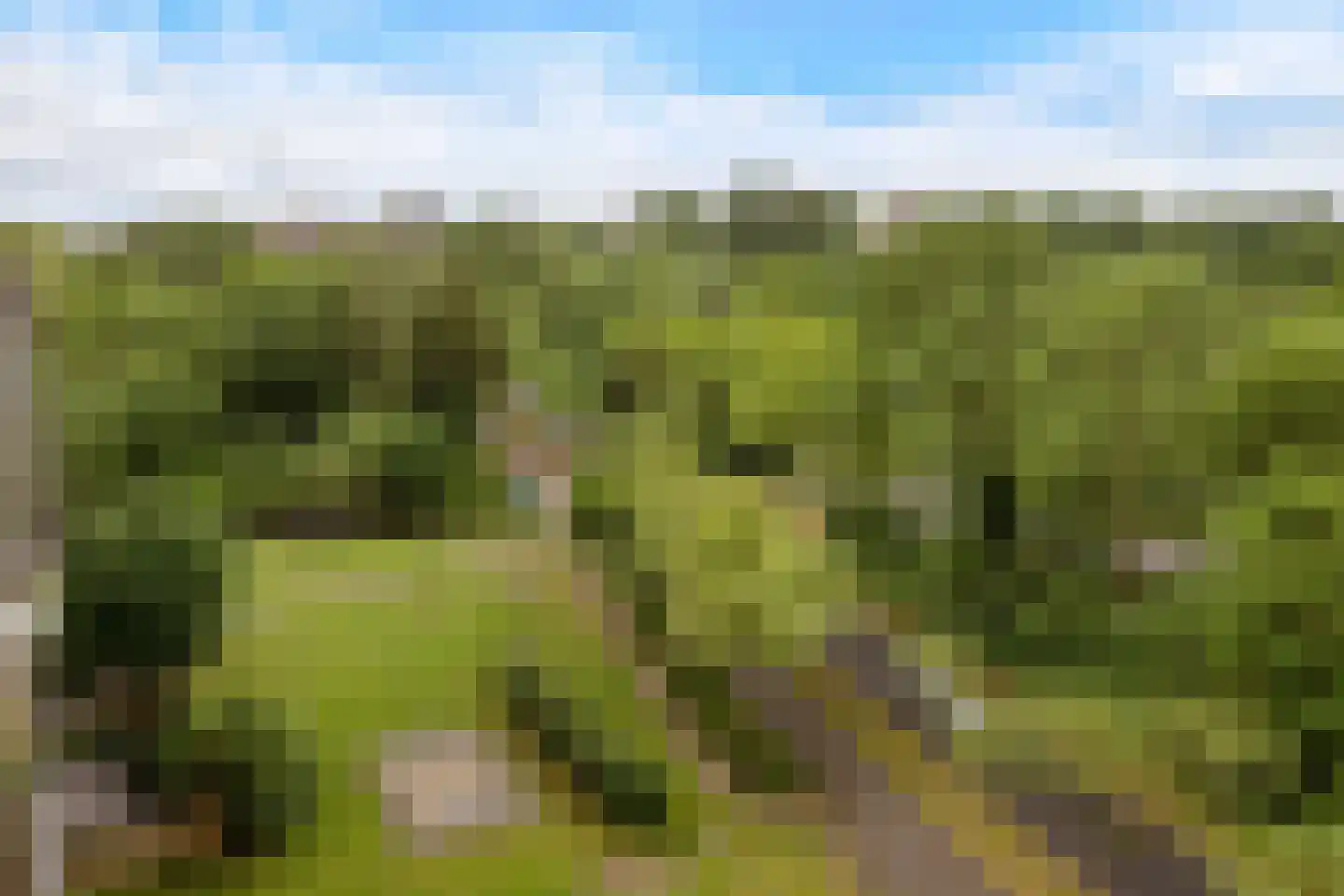 Merendonk 137 Leiden thumbnail 28