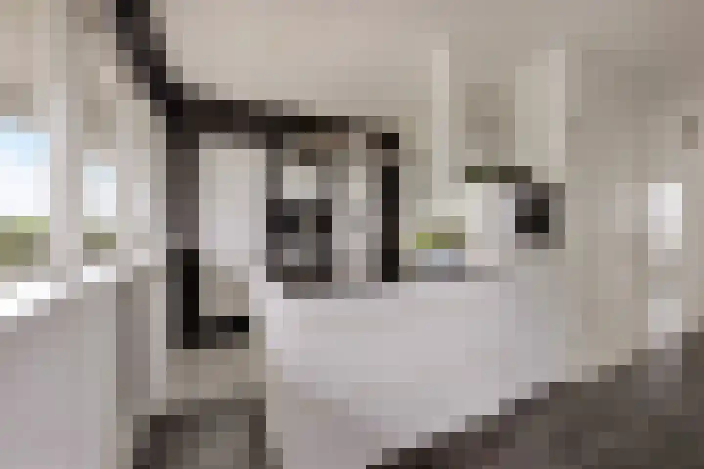 Merendonk 137 Leiden thumbnail 4