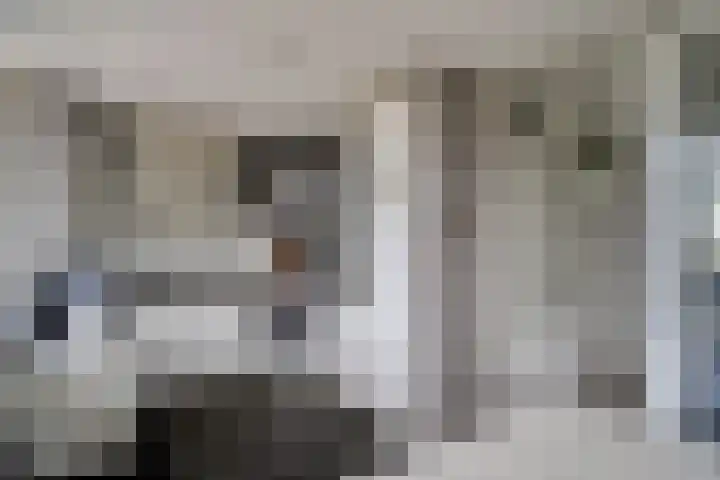 Merendonk 43 Leiden thumbnail 22