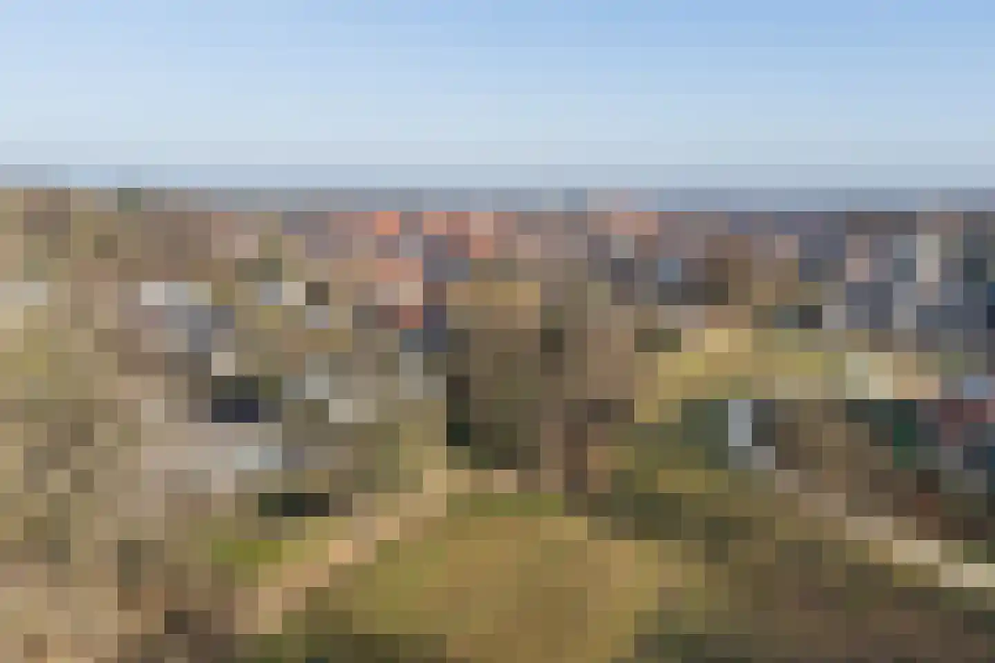 Merendonk 43 Leiden thumbnail 24
