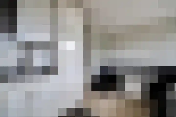 Merendonk 43 Leiden thumbnail 25