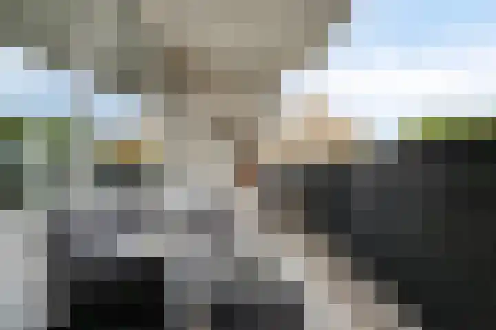 Merendonk 43 Leiden thumbnail 28