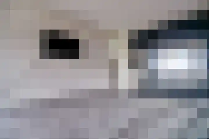 Merendonk 43 Leiden thumbnail 29