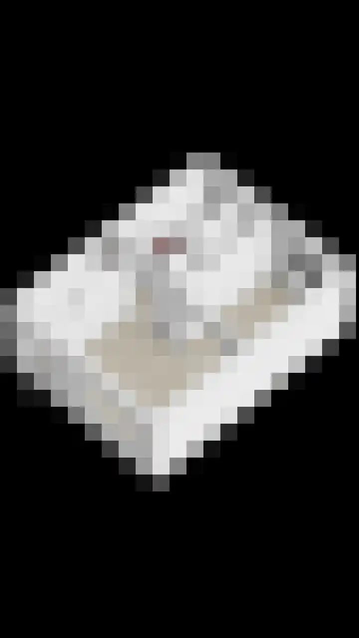 Merendonk 43 Leiden thumbnail 6