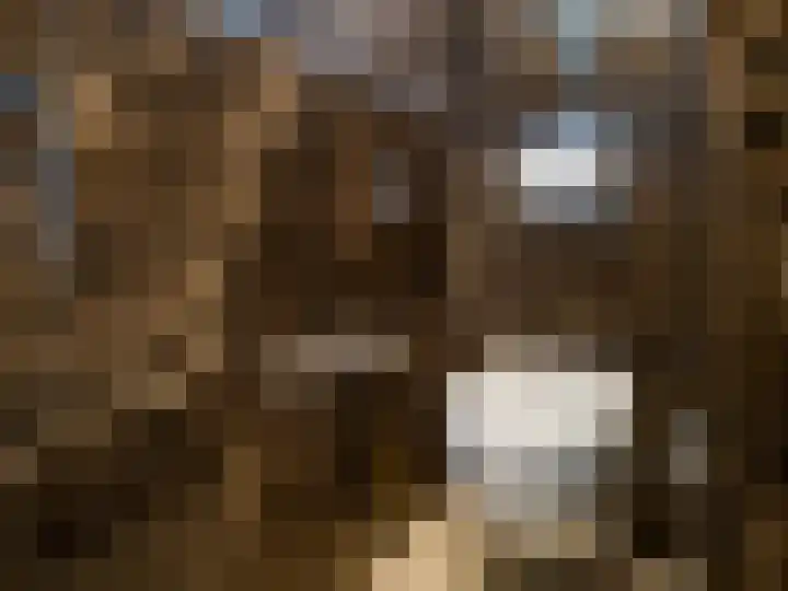 Merendonk 43 Leiden thumbnail 7