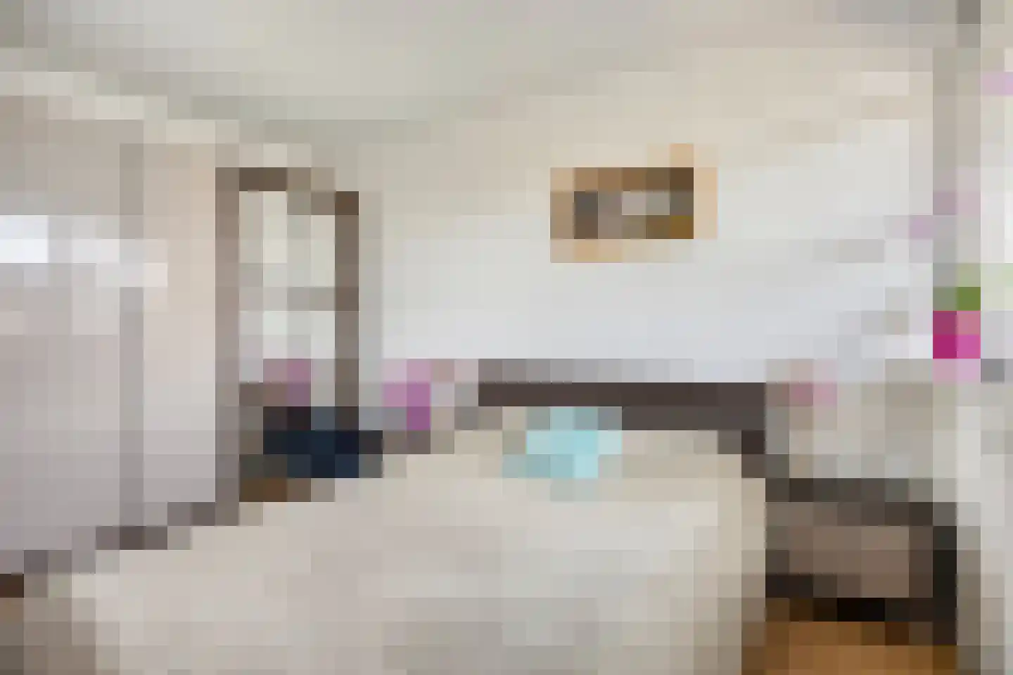 Merendonk 62 Leiden thumbnail 14