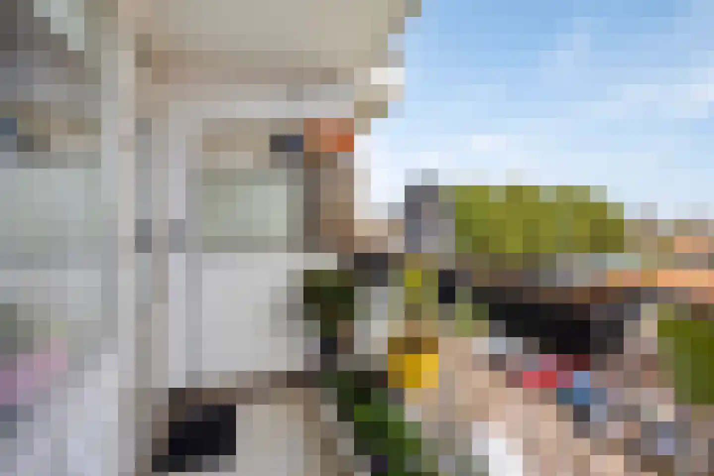 Merendonk 62 Leiden thumbnail 19