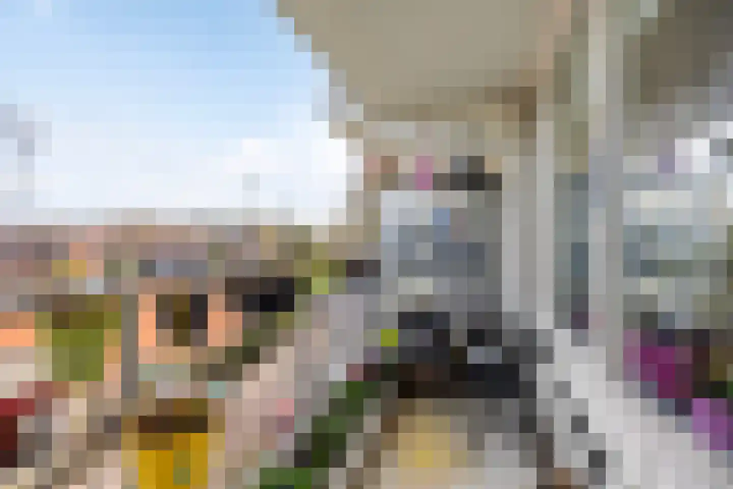 Merendonk 62 Leiden thumbnail 22