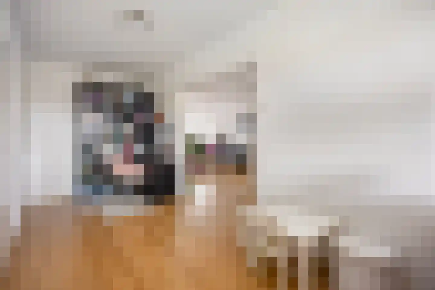 Merendonk 62 Leiden thumbnail 6