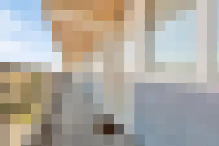 Merendonk 94 Leiden thumbnail 12