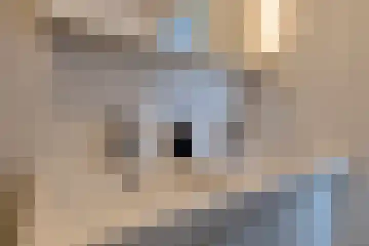 Merendonk 94 Leiden thumbnail 28