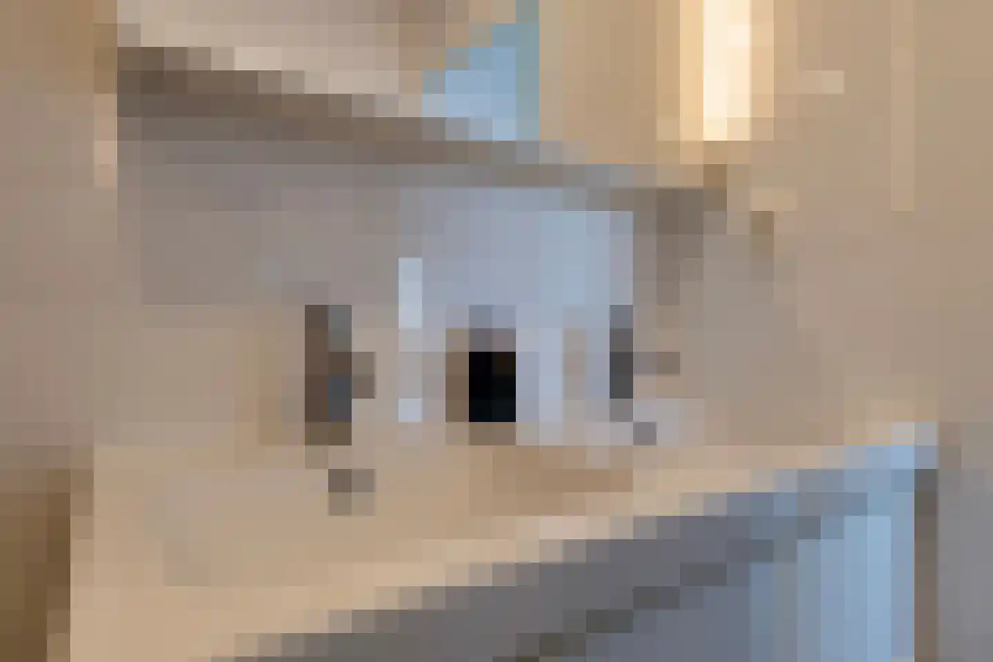 Merendonk 94 Leiden thumbnail 28
