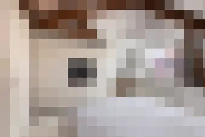 Merendonk 94 Leiden thumbnail 33