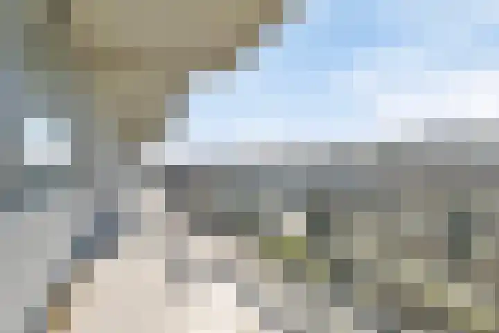 Merendonk 94 Leiden thumbnail 35