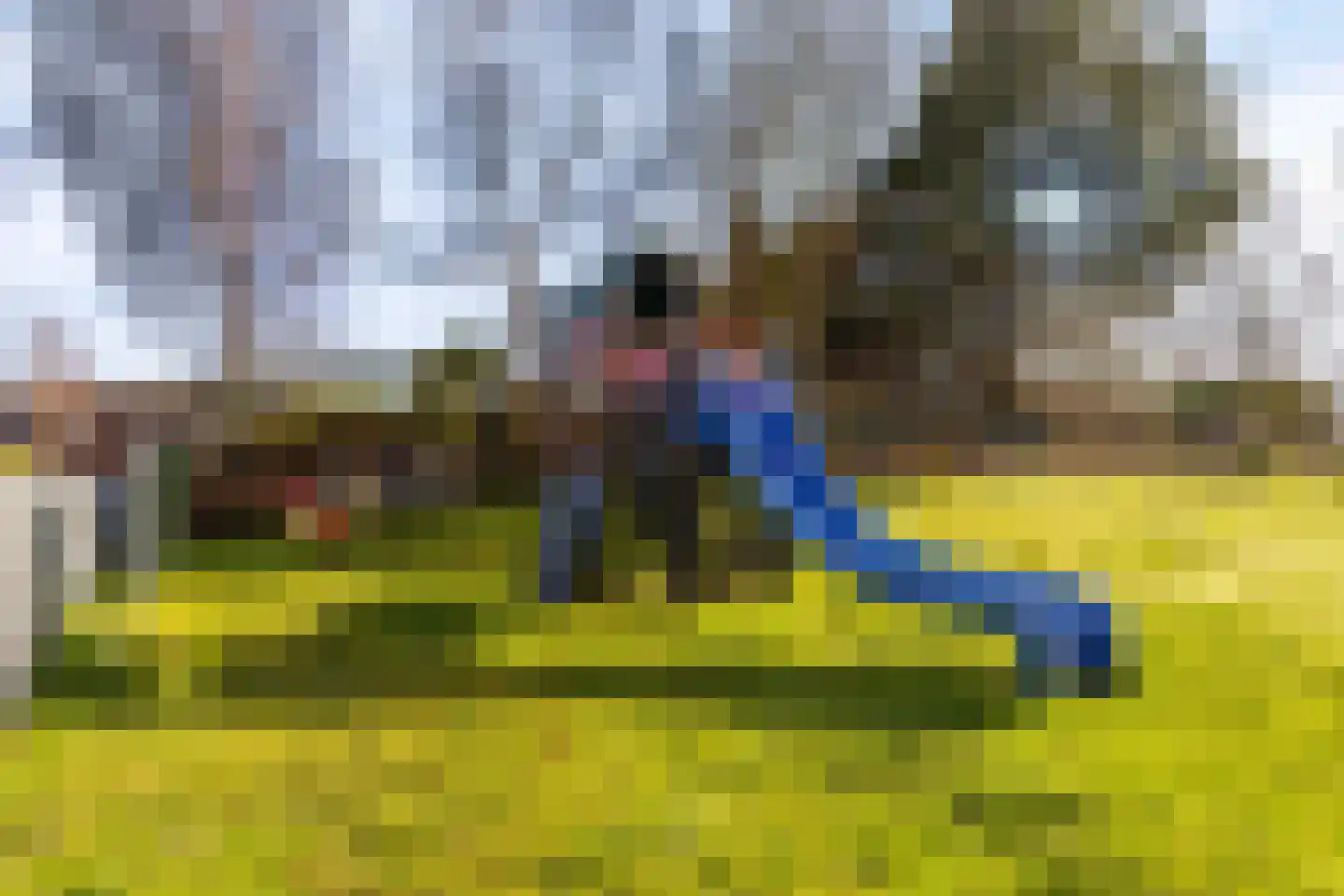 Merendonk 94 Leiden thumbnail 38