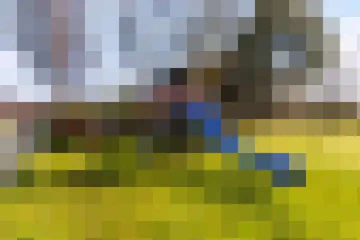 Merendonk 94 Leiden thumbnail 38