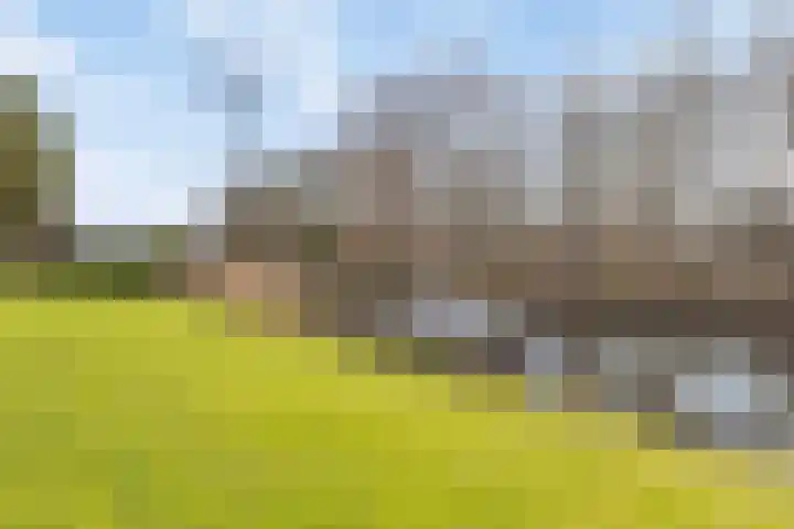 Merendonk 94 Leiden thumbnail 39