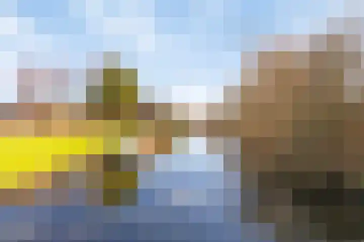Merendonk 94 Leiden thumbnail 40
