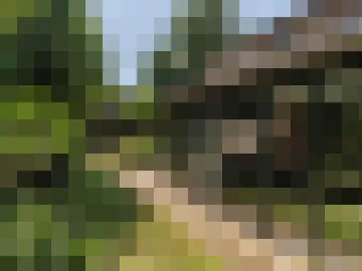 Merendreef 6 Valkenswaard thumbnail 12