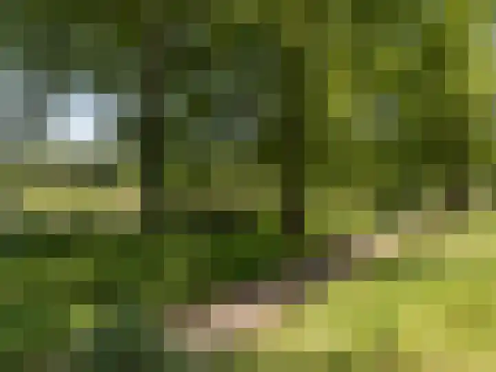 Merendreef 6 Valkenswaard thumbnail 15