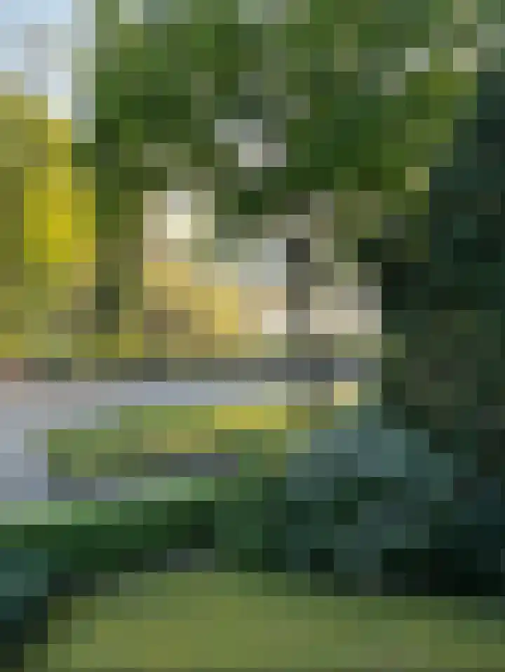 Merendreef 6 Valkenswaard thumbnail 16