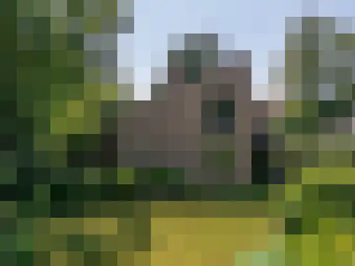 Merendreef 6 Valkenswaard thumbnail 5