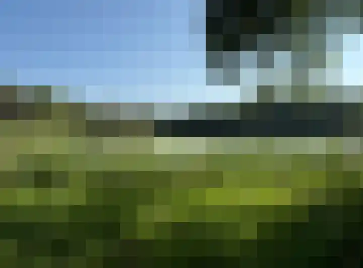 Merendreef 6 Valkenswaard thumbnail 6