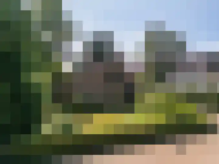 Merendreef 6 Valkenswaard thumbnail 7